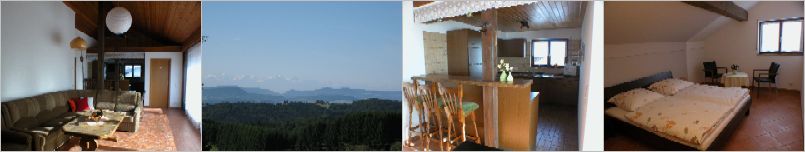 Ferienwohnung Görwihl